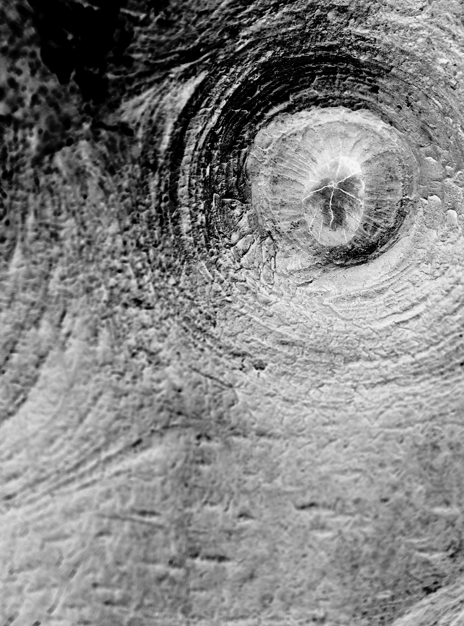 Kunsthochschule__kl_P8170153_hoherkontrast